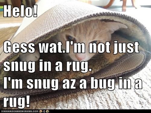 Helo! Gess wat.I'm not just snug in a rug. I'm snug az a bug in a rug!