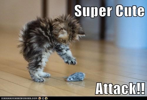 Super Cute  Attack!!