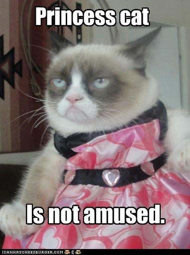 Princess cat