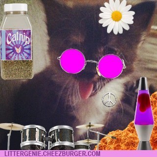 Litter Genie Photobomb Contest Winners