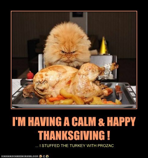 I'M HAVING A CALM & HAPPY THANKSGIVING !