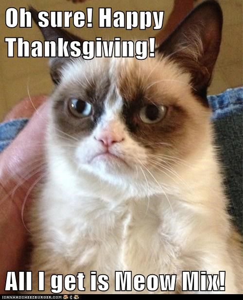 Oh sure! Happy Thanksgiving!  All I get is Meow Mix!