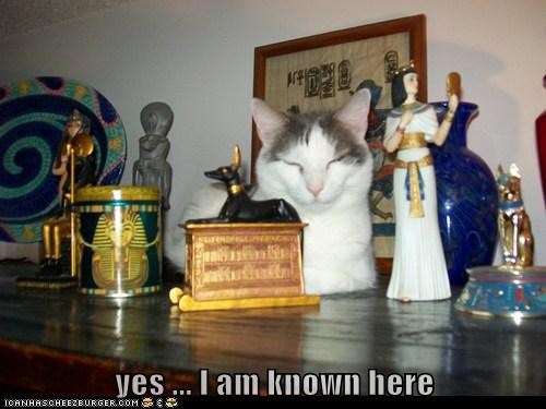 yes ... I am known here