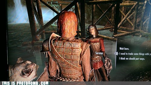Hi, Dragonborn!