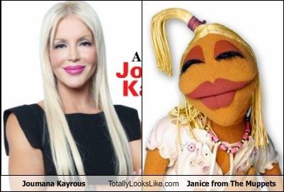 Joumana Kayrous Totally Looks Like Janice from The Muppets