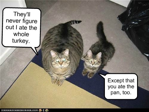 They'll never figure out I ate the whole turkey.