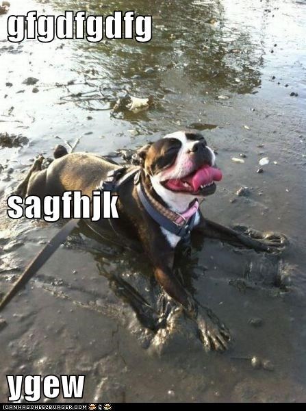gfgdfgdfg sagfhjk ygew