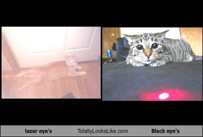 lazer eye's Totally Looks Like Black eye's