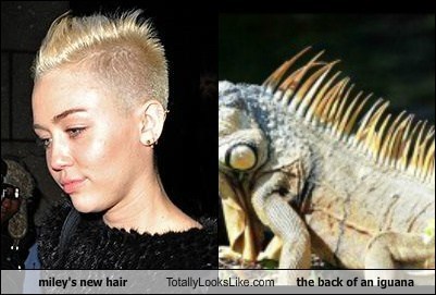 Miley Cyrus's Hair Totally Looks Like Back of an Iguana
