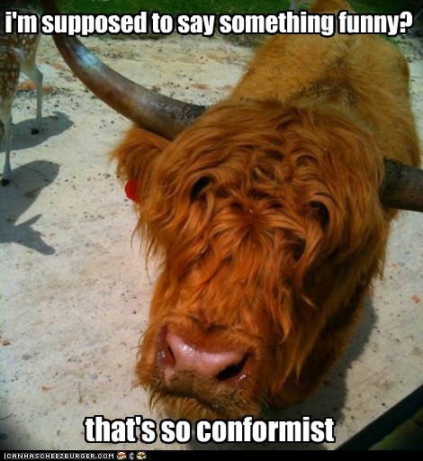 Elitist Cow Judges You