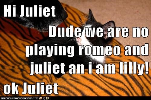 Hi Juliet  Dude we are no playing romeo and juliet an i am lilly! ok Juliet