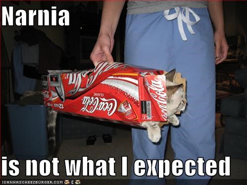Narnia  is not what I expected