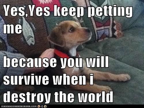 Yes,Yes keep petting me  because you will survive when i destroy the world