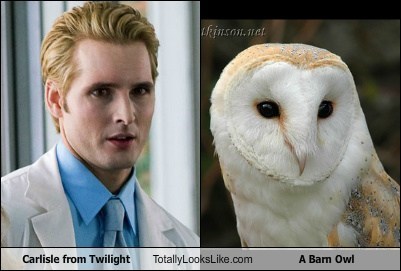 Peter Facinelli (Carlisle Cullen from Twilight) Totally Looks Like a Barn Owl
