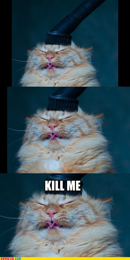 Please, Not the Vacuum!