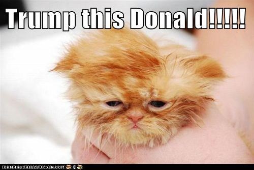 Trump this Donald!!!!!