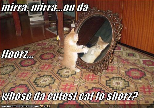 mirra, mirra...on da floorz... whose da cutest cat fo shorz?