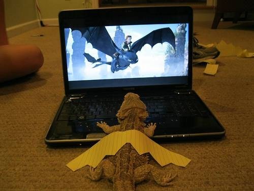 How to Train Your Dragon to Have an Identity Crisis