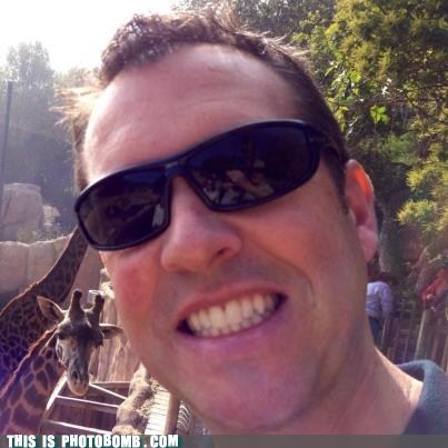 Photobombed by a Giraffe
