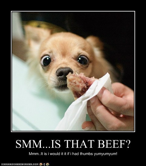 SMM...IS THAT BEEF?
