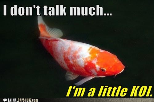 I Don't Talk Much