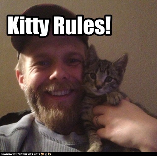 Kitty Rules!