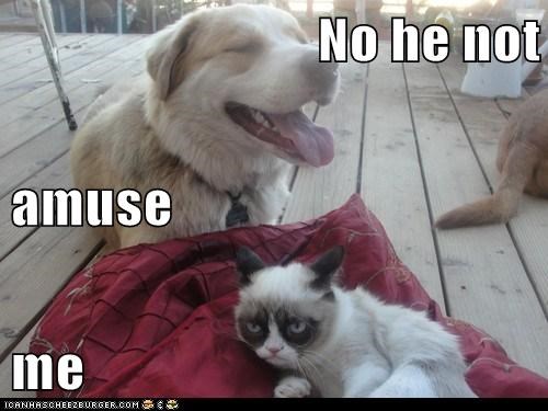 No he not  amuse  me