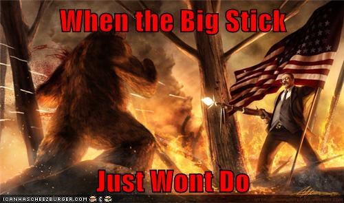 When the Big Stick   Just Wont Do