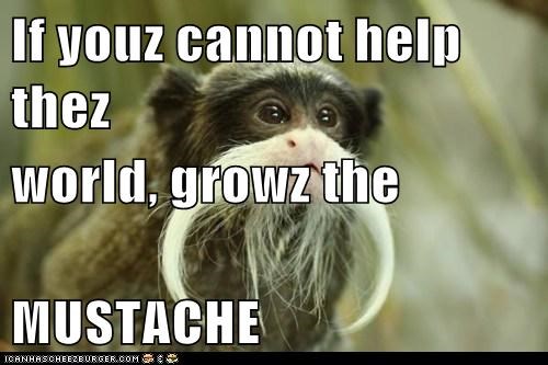 If youz cannot help thez world, growz the MUSTACHE