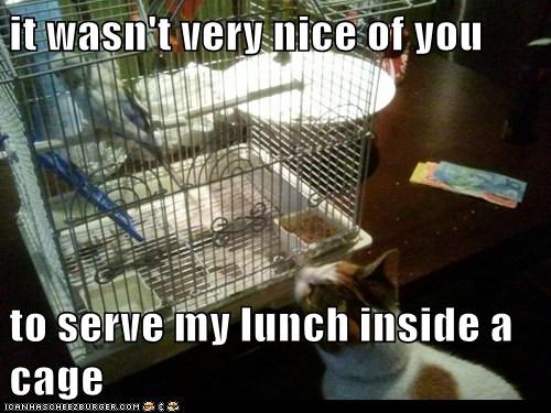 it wasn't very nice of you  to serve my lunch inside a cage