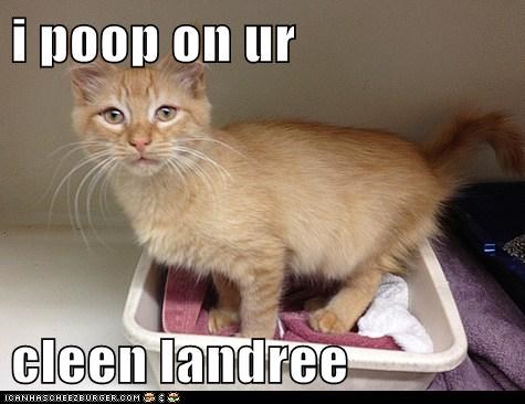 i poop on ur  cleen landree