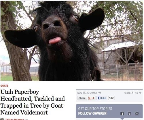 He-Who-Must-Not-Be-Named Has Returned