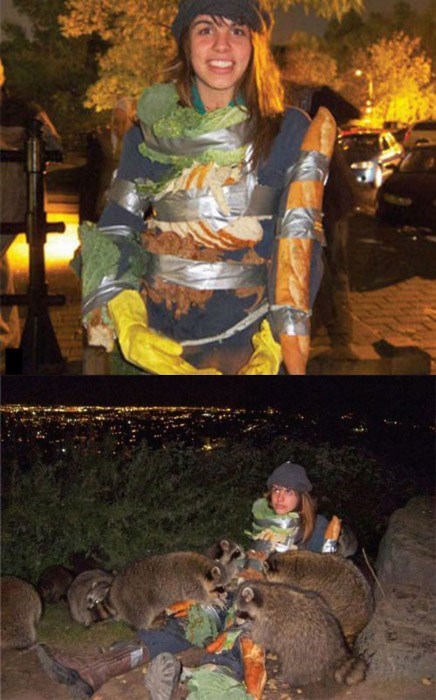 Someone Really Loves Raccoons