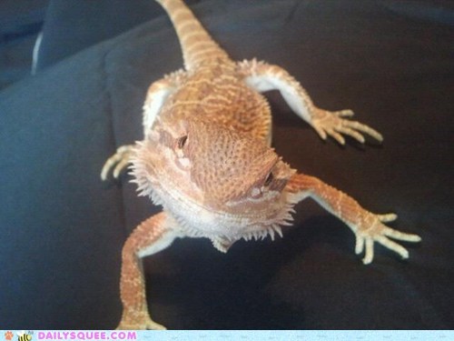 Reader Squee: What an Inquisitive Little Thing!