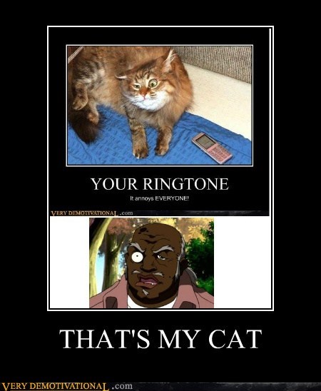 THAT'S MY CAT