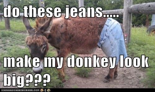 do these jeans.....  make my donkey look big???