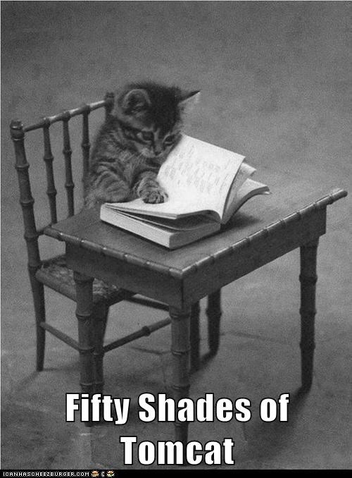 Fifty Shades of Tomcat