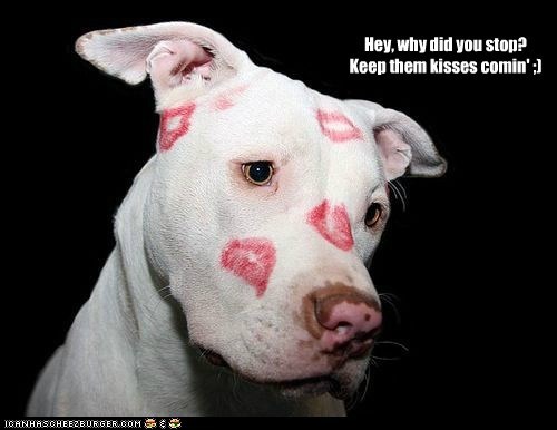 Hey, why did you stop?
Keep them kisses comin' ;)