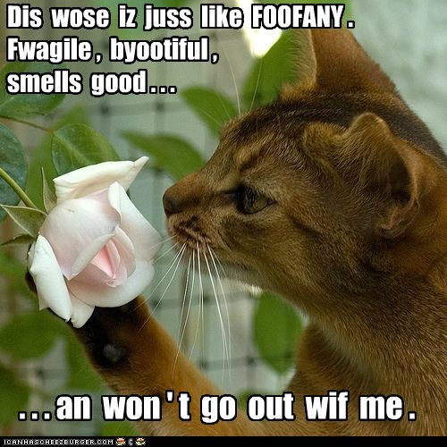 Dis juss like FOOFANY.