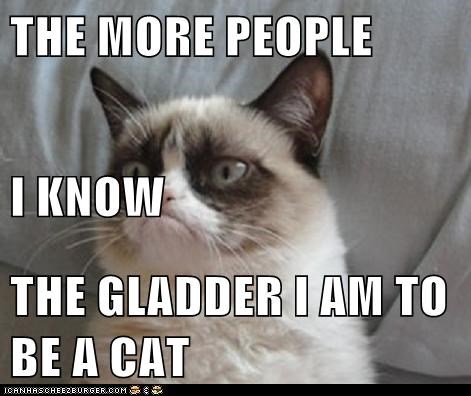 THE MORE PEOPLE I KNOW THE GLADDER I AM TO BE A CAT