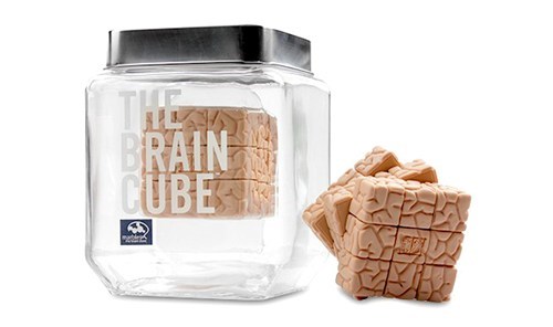How Well Do You Know the Brain?