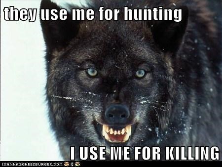they use me for hunting  I USE ME FOR KILLING