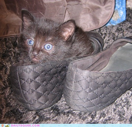 Reader Squee: If The Shoe Fits! 