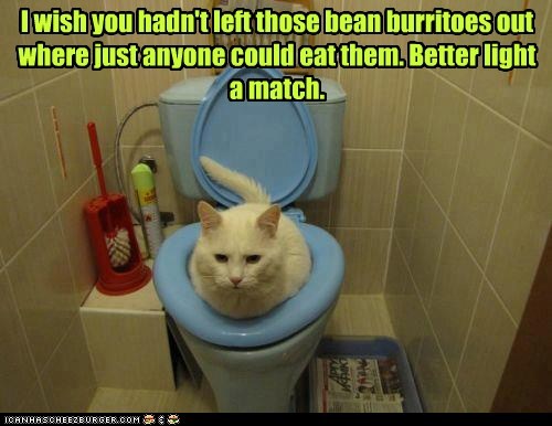 I wish you hadn't left those bean burritoes out where just anyone could eat them. Better light a match.