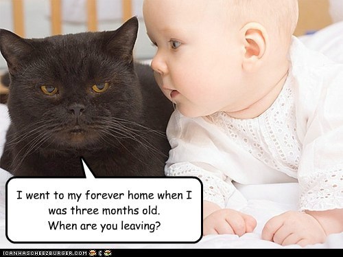 I went to my forever home when I was three months old. When are you leaving?