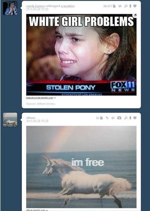Pony WIN