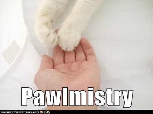 Pawlmistry