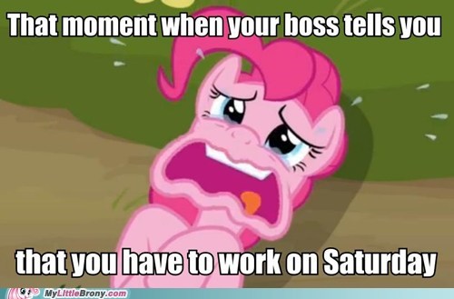 But I Have Ponies to Watch!