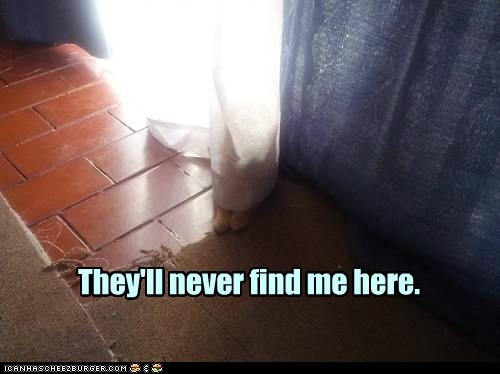 The art of a good sulk includes finding the perfect hiding place.
