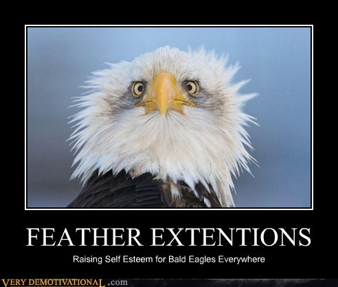 FEATHER EXTENTIONS
